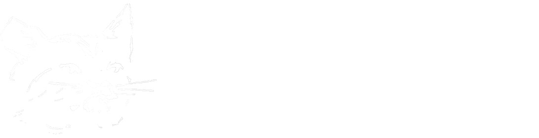 Greenacre Cattery Colchester